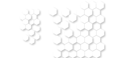 Vector abstract hexagonal futuristic geometric backdrop White 3d embossed creative hexagon, honeycomb white hexagon concept design abstract technology background, or wallpaper.