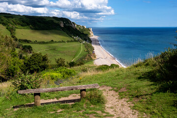 Wooden bench on a coastal path on a green hill above a sea, Devon, UK