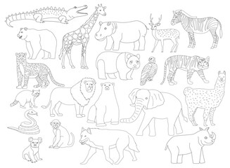 Set of Wildlife animal line art illustration