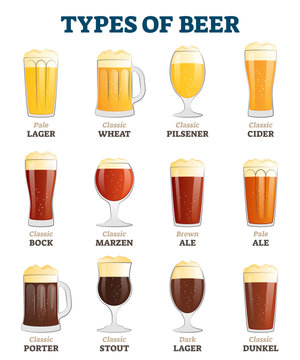 Types of beer illustration, transparent background. Alcoholic beverage menu collection set. Labeled visualization with various glasses styles for lager, pilsener, ale, dunkel and porter drinks.