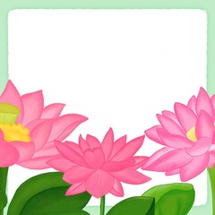 lotus green background