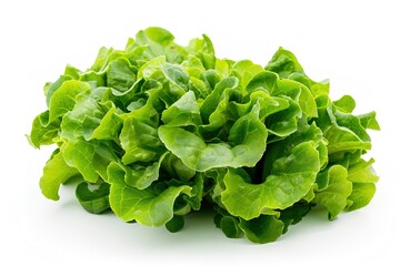 Fresh green lettuce isolated on white background