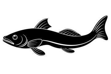 fish isolated on white