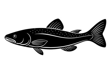 fish isolated on white background