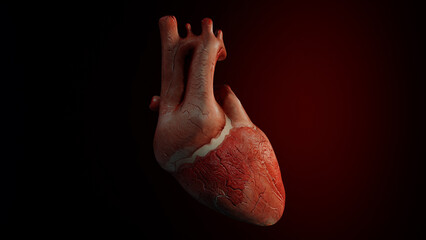 3D illustration of a human heart
