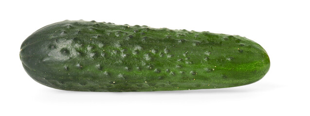 One fresh green cucumber isolated on white