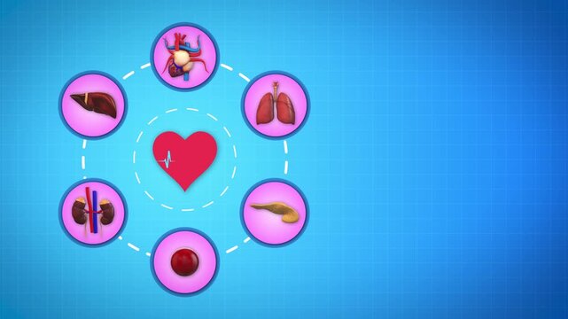 Human Organs medical innovation concept with Heartbeat Loop
