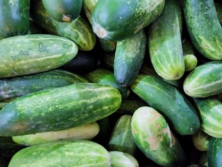 Fresh and green cucumber background 