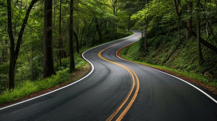 Fototapeta premium Winding Road Through Forest