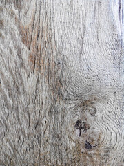 Old dried wooden board with cracks and knots