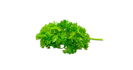 leaves parsley isolated on white background