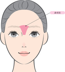 鼻根筋（名称あり）