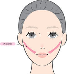 大頬骨筋（名称あり）