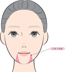 Fototapeta premium 口角下制筋（名称あり）