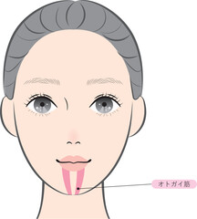 オトガイ筋（名称あり）