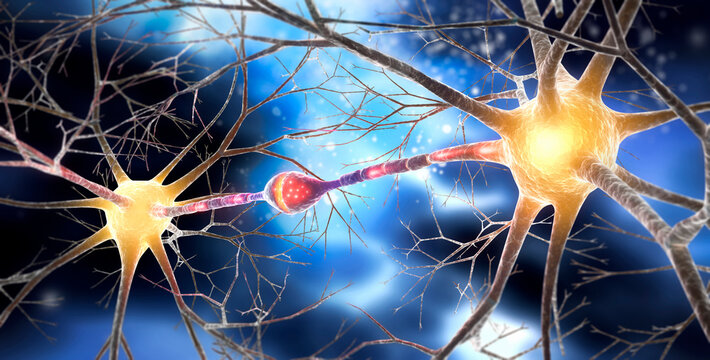 Two interacting nerve cells connected with synapse - 3D illustration