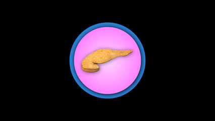 3d Human Pancreas organ icon isolated on black background