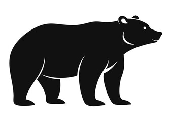 bear Silhouette on White Background	 