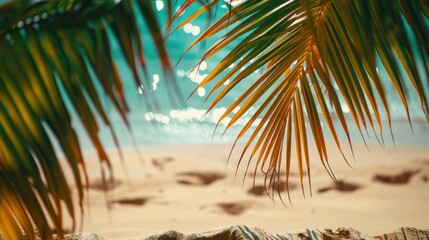Fototapeta premium Palm Tree Leaves Overlooking a Tropical Beach