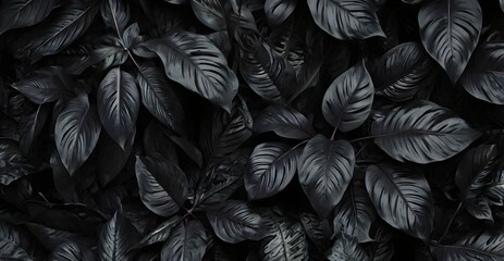 Obraz premium Texture of dark black tropicale leaves background