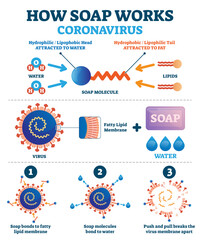 Fototapeta premium Hand washing with soap to fight coronavirus Covid-19 illustration, transparent background. Educational diagram with explanation how cleaning push and pull breaks virus membrane apart.