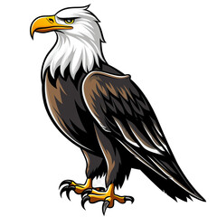 Fototapeta premium A Detailed Illustration of a Bald Eagle with Sharp Talons, generative ai image
