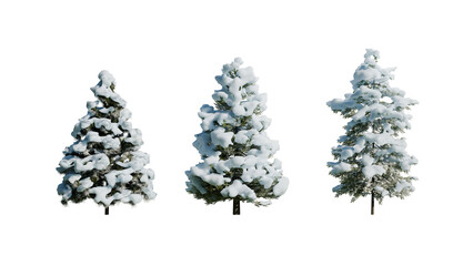 3 Snowy Christmas Trees with Transparent Background