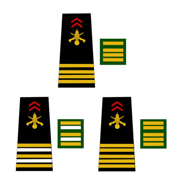 Ensemble des galons de l'arm&eacute;e de terre fran&ccedil;aise: Officier sup&eacute;rieur: commandant, lieutenant-colonel, colonel