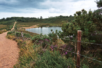 quarry in the countryside