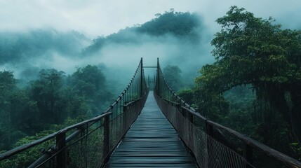 Obraz premium Wooden Bridge Leading Through Foggy Forest