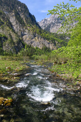 river in the mountains