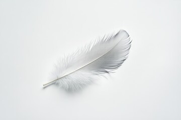 A minimalistic art piece with a single feather falling against a plain white background. High-resolution, detailed textures, crisp focus