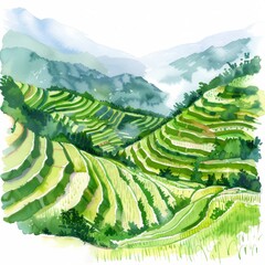 Watercolor painting of rice terraces in the mountains, on isolated white background