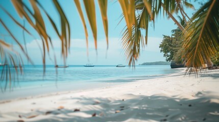 Tranquil Beachfront With Palm Fronds and Boats on Clear Blue Water in Tropical Paradise