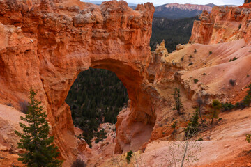 Arch