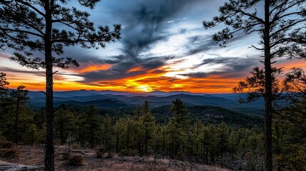 Fototapeta premium Sunset over an untamed forest with pine needles and expansive views of the natural landscape, creating a dramatic scene with ample copy space for text or graphics