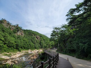 하늘 산 하천 자갈밭 둘레길 산책 산책로 나무 구름