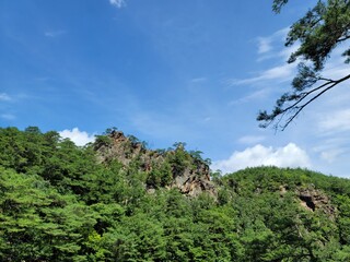 산 풍경 바위산 나무 하늘 구름