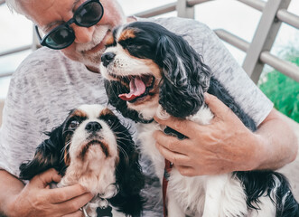 Senior man in sunglasses in outdoors embracing his two cavalier king charles dogs. Black and white spaniel dogs, best friend forever concept