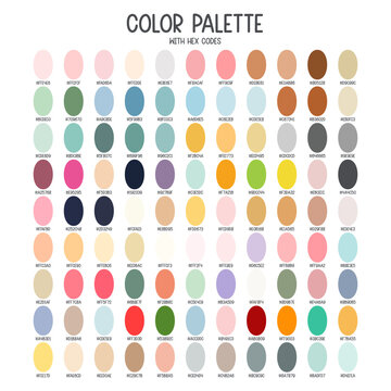 Color palette with hex codes for kids illustration colorful