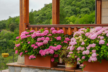 The Picos de Europa Peaks of Europe are a mountain range extending for about 20 km (12 mi), forming part of the Cantabrian Mountains in northern Spain