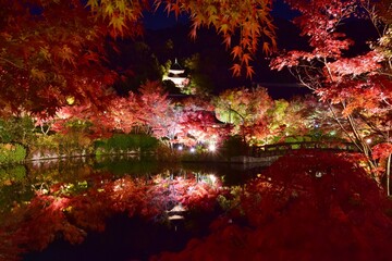 秋の京都・永観堂ライトアップ