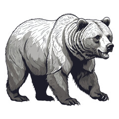 Hand Drawn Grizzly Bear Illustration