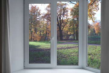 View from the window, green trees, landscape with park.
