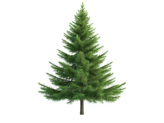 Obraz premium A lush green pine tree stands tall, showcasing its vibrant foliage and natural beauty, perfect for nature-themed projects.