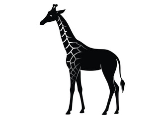 giraffe Silhouette on White Background 