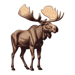 Naklejka premium Standing Moose with Majestic Antlers