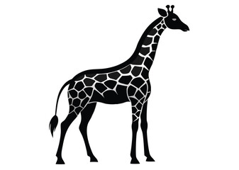 Naklejka premium giraffe Silhouette on White Background 
