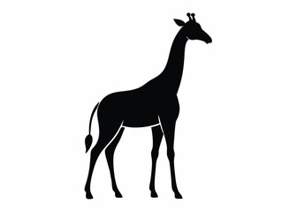 Fototapeta premium giraffe Silhouette on White Background 