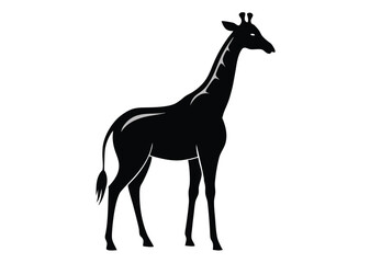 giraffe Silhouette on White Background 